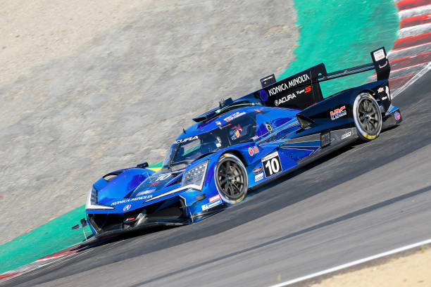 Predictions: Elko - 10 Wayne Taylor